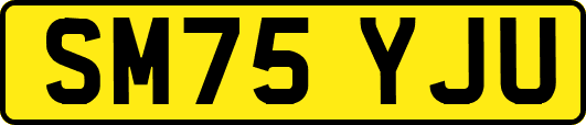 SM75YJU