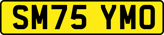 SM75YMO