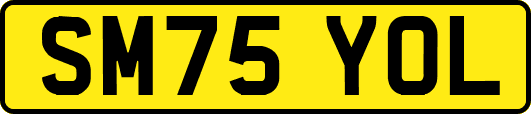 SM75YOL
