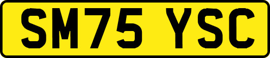 SM75YSC