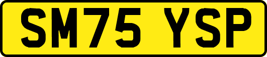 SM75YSP