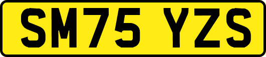 SM75YZS