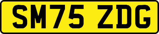 SM75ZDG