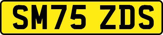 SM75ZDS
