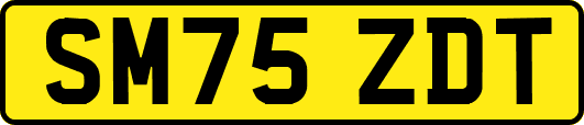 SM75ZDT
