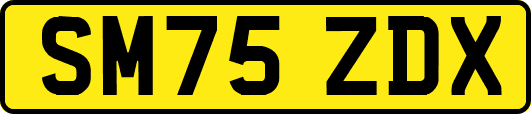 SM75ZDX
