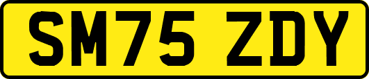 SM75ZDY