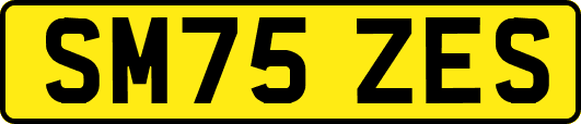 SM75ZES