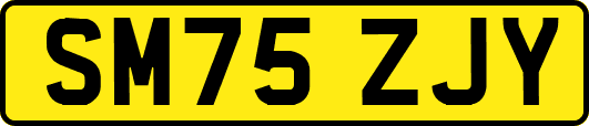 SM75ZJY