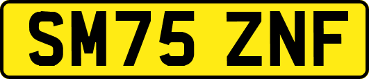 SM75ZNF