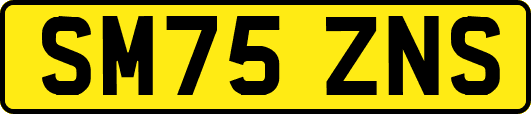 SM75ZNS