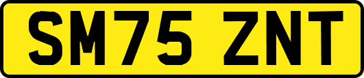 SM75ZNT