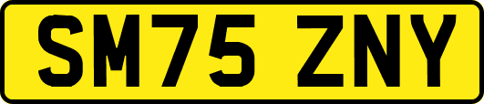 SM75ZNY