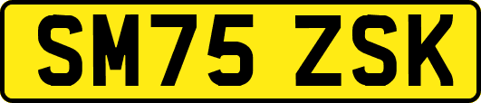 SM75ZSK