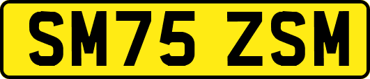 SM75ZSM