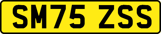 SM75ZSS