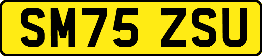 SM75ZSU