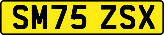 SM75ZSX