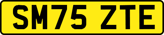 SM75ZTE