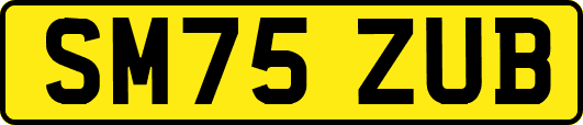 SM75ZUB