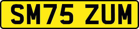 SM75ZUM