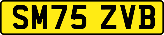 SM75ZVB