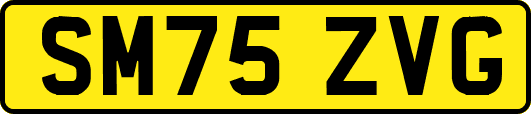 SM75ZVG