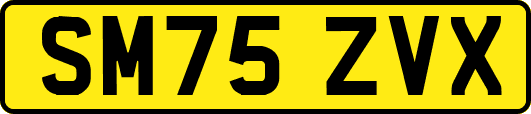 SM75ZVX