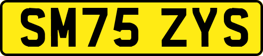 SM75ZYS
