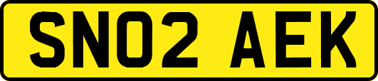 SN02AEK