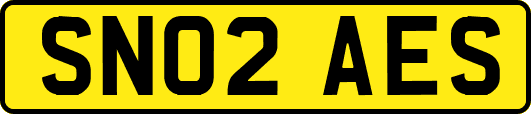 SN02AES