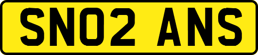 SN02ANS