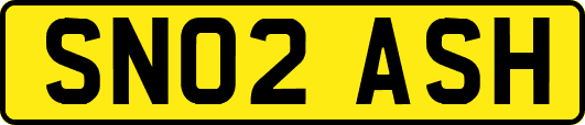 SN02ASH