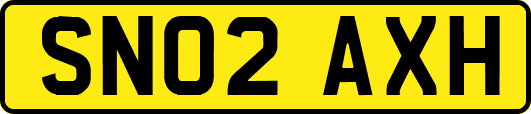 SN02AXH