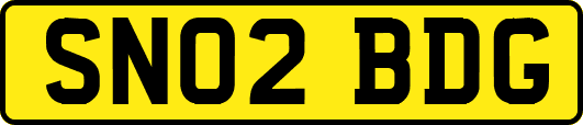 SN02BDG