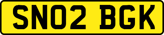 SN02BGK