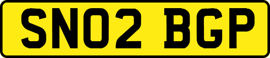 SN02BGP
