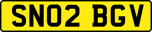 SN02BGV