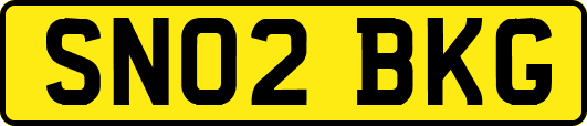 SN02BKG