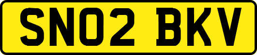 SN02BKV