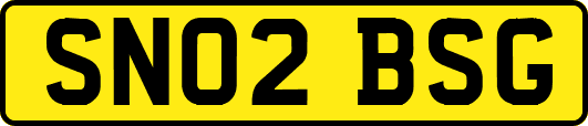 SN02BSG
