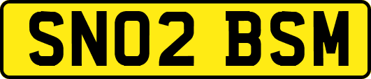 SN02BSM
