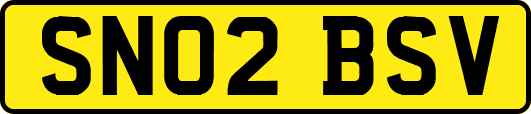 SN02BSV