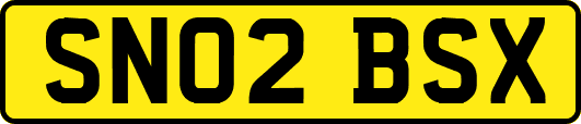 SN02BSX
