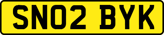 SN02BYK