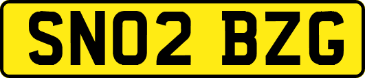 SN02BZG