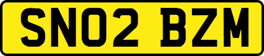 SN02BZM