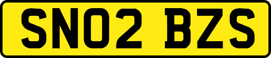 SN02BZS