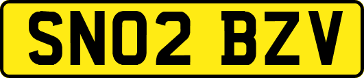 SN02BZV