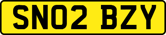 SN02BZY